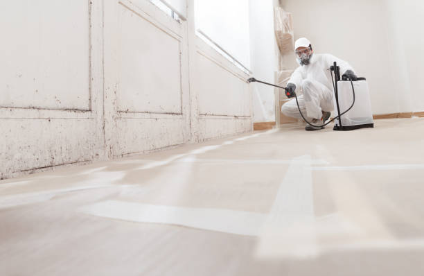 24/7 Emergency Basement Mold Removal experts in Ebensburg, PA